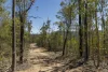 3535 Armidale Road, Nymboida, NSW 2460-Image
