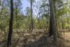3535 Armidale Road, Nymboida, NSW 2460-Image
