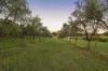 356 Tuckers Lane, Greta NSW 2334-Image