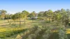356 Tuckers Lane, Greta NSW 2334-Image