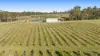 356 Tuckers Lane, Greta NSW 2334-Image