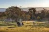 357 Old Settlers Road, Jindabyne, NSW 2627-Image