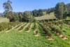 357 Underwood Road, Underwood, Tas 7268-Image