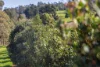 357 Underwood Road, Underwood, Tas 7268-Image