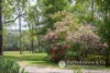 3574 Ipswich Boonah Road, Coulson, Qld 4310-Image