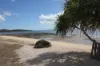 359 Bells Road, Rodds Bay, Qld 4678-Image