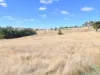 360 Jones River Road, Ellendale, Tas 7140-Image