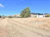 360 Jones River Road, Ellendale, Tas 7140-Image