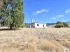 360 Jones River Road, Ellendale, Tas 7140-Image