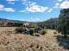 360 Jones River Road, Ellendale, Tas 7140-Image
