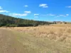 360 Jones River Road, Ellendale, Tas 7140-Image