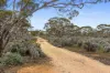 360 Winter Road, Bower, SA 5374-Image