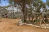 360 Winter Road, Bower, SA 5374-Image
