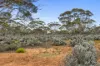 360 Winter Road, Bower, SA 5374-Image