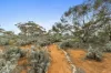 360 Winter Road, Bower, SA 5374-Image