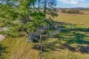 361 Saleyards Road, Collombatti, NSW 2440-Image