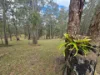 362 Anduramba Road, Crows Nest QLD 4355-Image