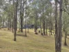 362 Anduramba Road, Crows Nest QLD 4355-Image