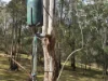 362 Anduramba Road, Crows Nest QLD 4355-Image