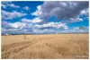 365 Nicholson Road, Alton Downs QLD 4702-Image