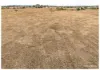365 Nicholson Road, Alton Downs QLD 4702-Image