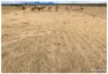 365 Nicholson Road, Alton Downs QLD 4702-Image