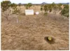 365 Nicholson Road, Alton Downs QLD 4702-Image