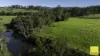 367 Terreel Road, Wards River, NSW 2422-Image