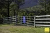 367 Terreel Road, Wards River, NSW 2422-Image