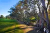 37 Brownes Lane, Axedale VIC 3551-Image