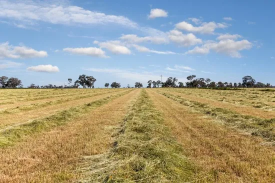 37 Brownes Lane, Axedale VIC 3551-Image