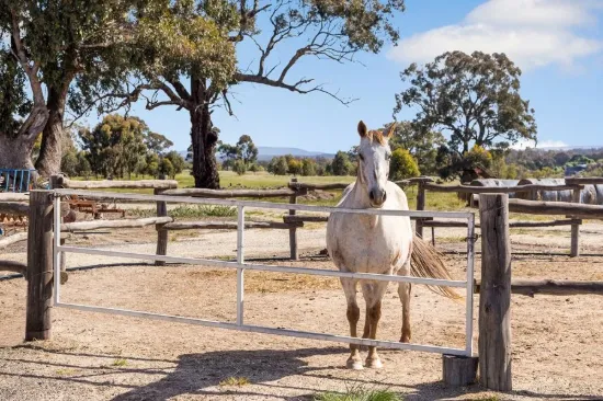 37 Brownes Lane, Axedale VIC 3551-Image