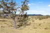 37 Calderwood Road, Rylstone, NSW 2849-Image