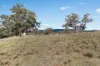 37 Calderwood Road, Rylstone, NSW 2849-Image