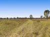 37 Dennison Park Drive, Leyburn, Qld 4365-Image