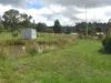 37 Dyraaba Street, Bonalbo, NSW 2469-Image
