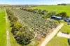 37 Peel Road, Currency Creek, SA 5214-Image