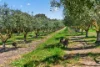 37 Peel Road, Currency Creek, SA 5214-Image