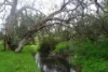 37 Peel Road, Currency Creek, SA 5214-Image