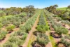 37 Peel Road, Currency Creek, SA 5214-Image