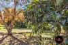 370 John Allan Road, Kyabram, Vic 3620-Image