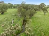 370 Springmount Road, Oberon, NSW 2787-Image