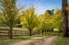 370 Springmount Road, Oberon, NSW 2787-Image