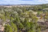 3705 Nanami Lane, Canowindra, NSW 2804-Image