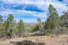 3705 Nanami Lane, Canowindra, NSW 2804-Image