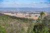 3705 Nanami Lane, Canowindra, NSW 2804-Image