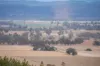 3705 Nanami Lane, Canowindra, NSW 2804-Image