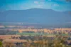 3705 Nanami Lane, Canowindra, NSW 2804-Image