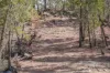 3705 Nanami Lane, Canowindra, NSW 2804-Image