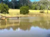 372 Ravenbourne Dip Road, Ravensbourne, Qld 4352-Image